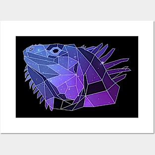 Galaxy Iguana Posters and Art